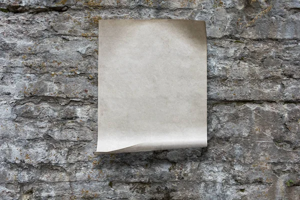 Hârtie pe perete — Fotografie, imagine de stoc
