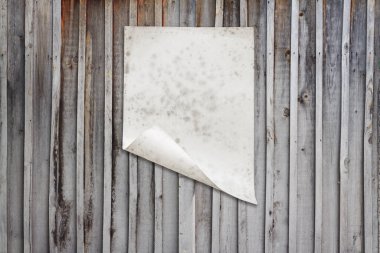 Eski ahşap duvarda beyaz kağıt, arkaplanda kopya alanı
