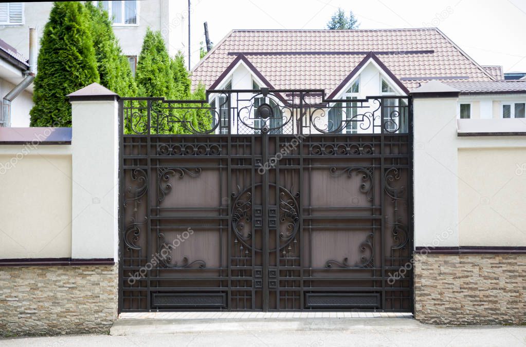 beautiful, original gate with forging elements