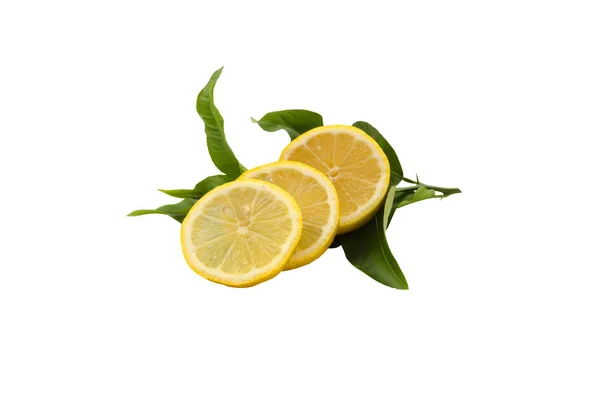 Cut lemon with green leaves — Stock Photo, Image