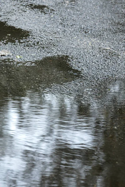 asphalt road after rain. water puddles on sidewalk with reflections