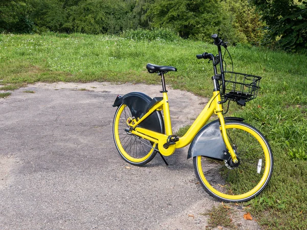 yellow city bike parked on grass. bicycle ready for renting