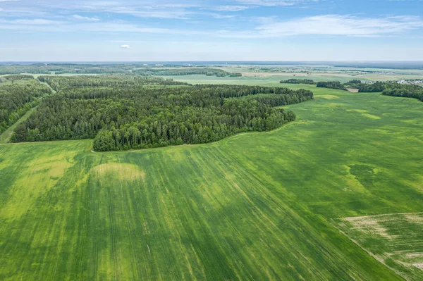 countryside landscape with green fields and forest under blue sky at summer day. aerial view