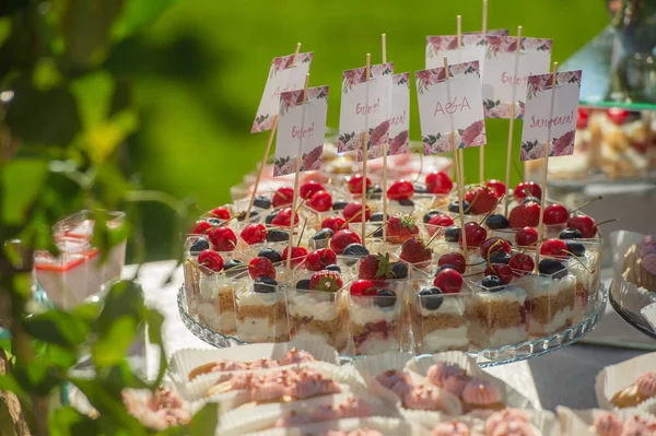 Słodycze Ciasta Desery Formie Bufetu Ślub — Zdjęcie stockowe