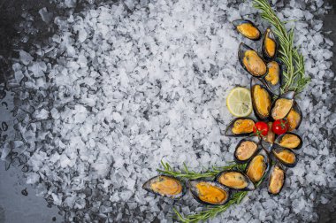 buz midye üzerinde tarak deniz ürünleri çeşitleri