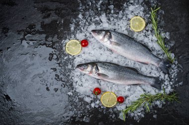 çiğ taze balık çeşitleri, buz üzerinde deniz ürünleri