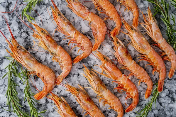 Frozen fish and seafood on ice — Stock Photo, Image