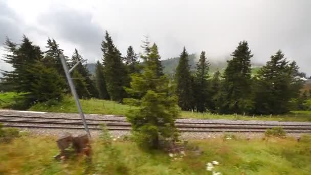 Ferrovia Delle Alpi Vista Dal Treno Movimento — Video Stock