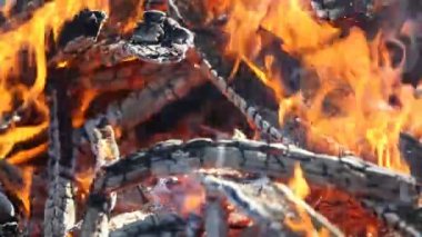 Ormanda yangın yakın çekim.