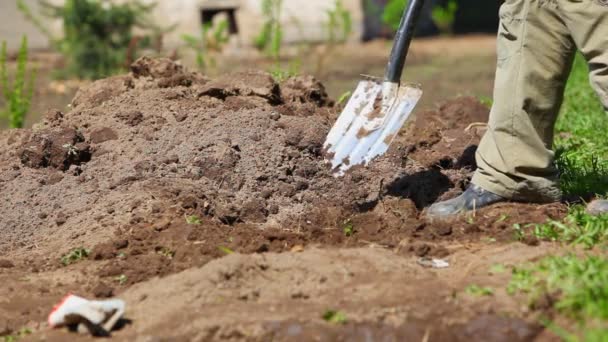 Seorang Pria Menggali Tanah Taman — Stok Video