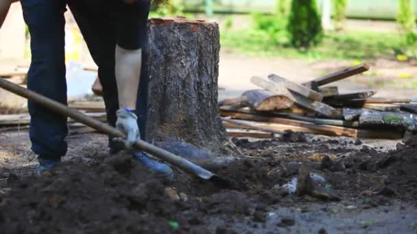 Man Diging Stump Fast Motion Effect — Stock Video