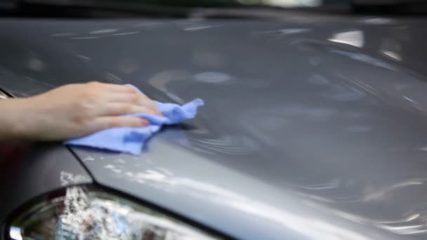 Young Woman Washing Car — Stock Video