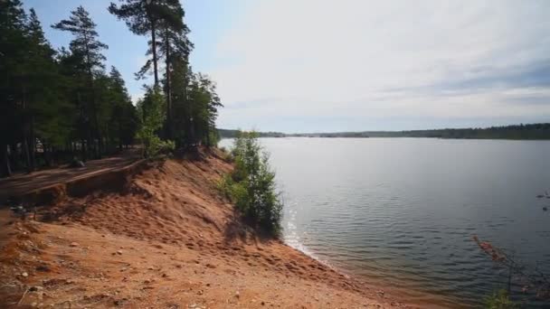 Прекрасна Панорама Літнього Озера — стокове відео