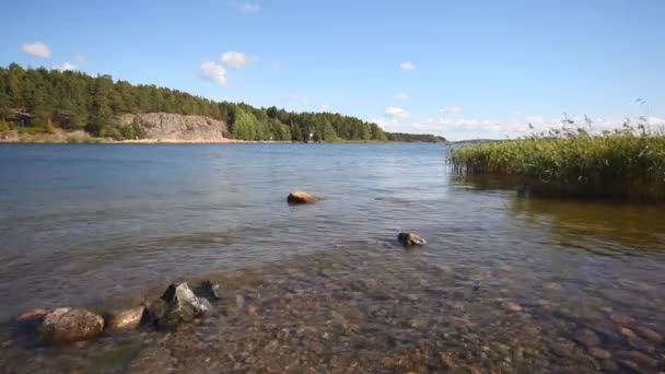 Beautiful Summer Lake Coast — Stock Video