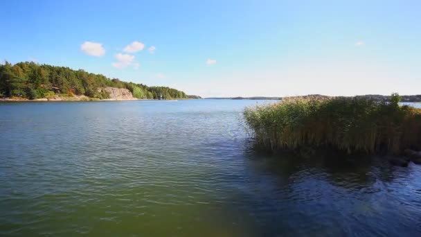 Красивое Летнее Побережье Озера — стоковое видео