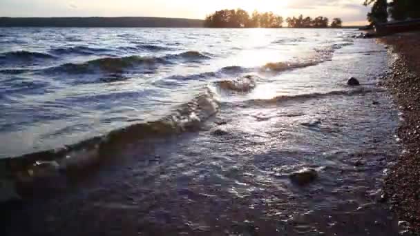 美丽的夏天湖海岸 — 图库视频影像