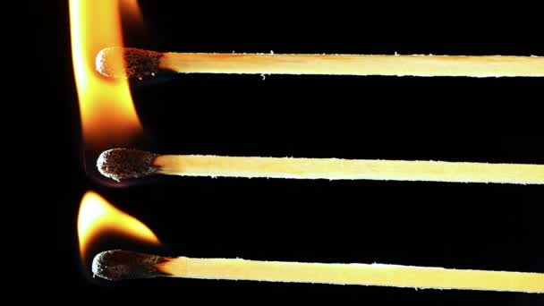 Burning Matches Black Background — Stock Video