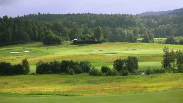 Golf Veld Panorama Zomer — Stockvideo