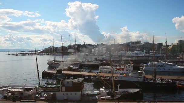Porto Oslo Vista Verão — Vídeo de Stock