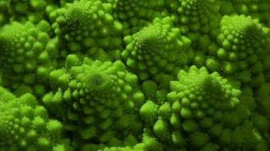 Romanesco brokoli lahana marco.
