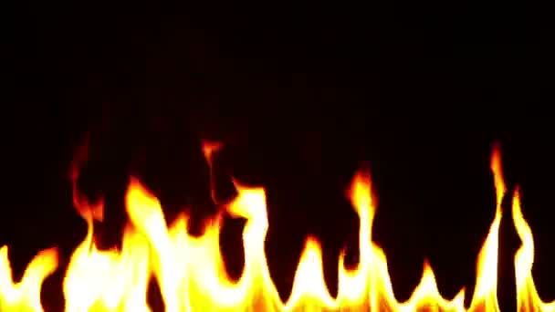 Oheň Černém Pozadí — Stock video