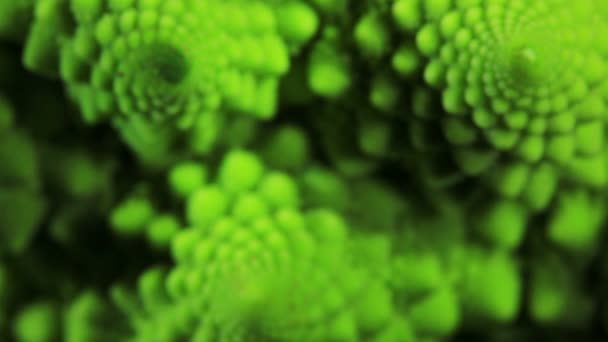 Romanesco Broccoli Cabbage Marco Slow Focus Effect — Stock Video