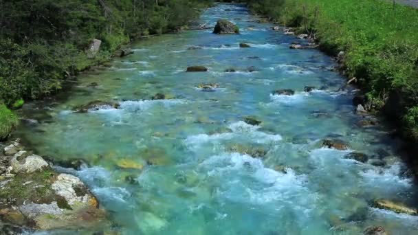 Гірська Річка Влітку — стокове відео