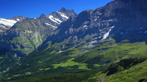 夏のアルプス山脈のパノラマ — ストック動画