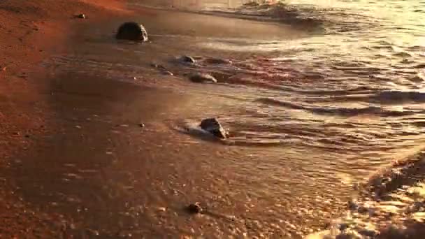 日出时海浪海岸 — 图库视频影像