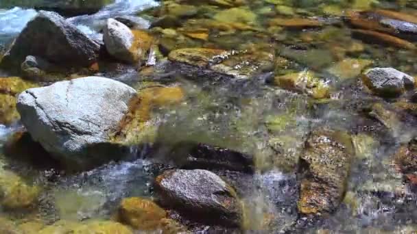 Гірська Річка Влітку — стокове відео