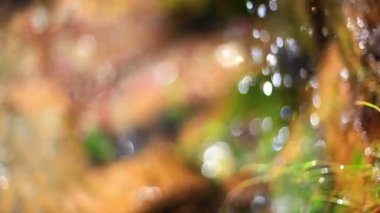 arka plan arka su damlaları.