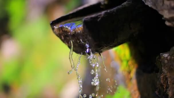 Rent Vatten Från Vår — Stockvideo