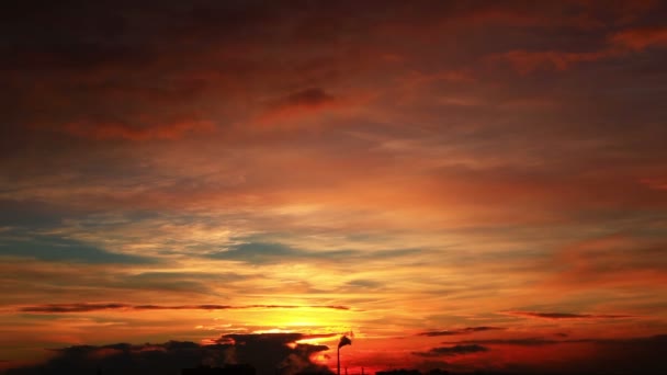 Roter Sonnenuntergang Sommer Ansicht — Stockvideo