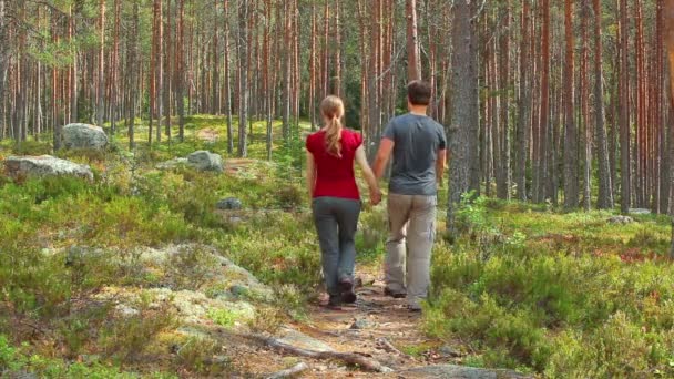 Turister Med Hund Promenader Väg — Stockvideo