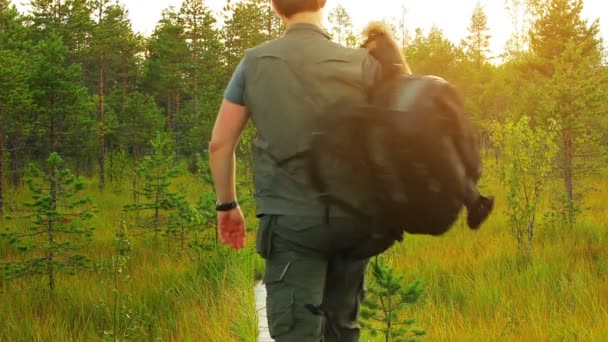 Ormandaki Yolda Yürüyen Turist — Stok video