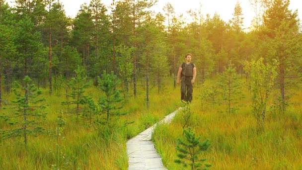 Τουριστικές Περπατώντας Στο Μονοπάτι Στο Δάσος — Αρχείο Βίντεο