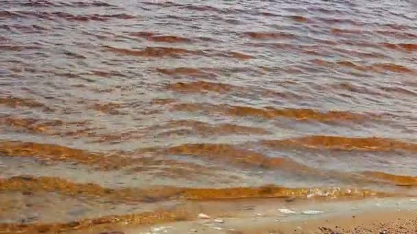 波浪在湖海岸 — 图库视频影像