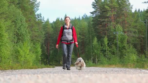 Mujer Joven Con Perro Paseando Por Carretera — Vídeo de stock
