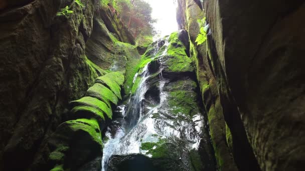 Wasserfall Der Höhle Adrspach Tschechische Berge — Stockvideo