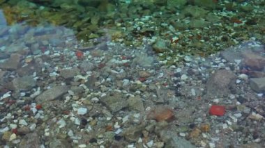 Yüksek dağ gölü içinde temiz su