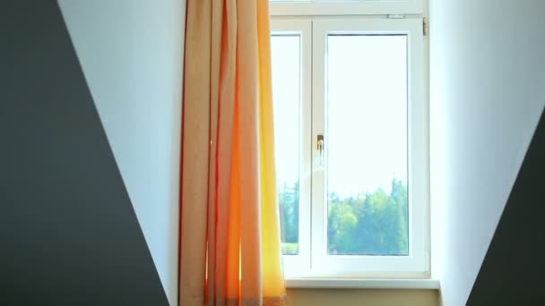 Modernes Fenster Mit Naturlandschaft Draußen — Stockvideo