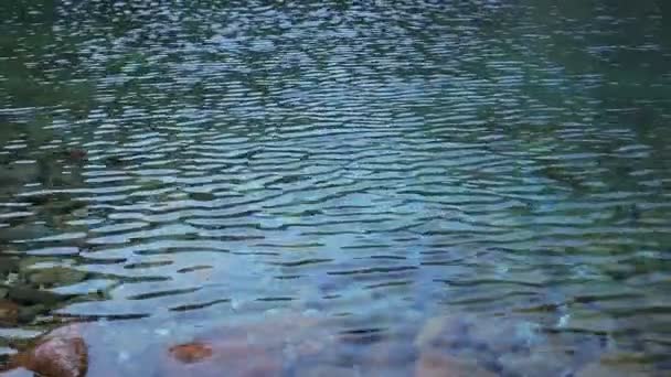 湖表面波浪 — 图库视频影像