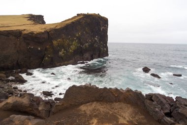 İzlanda Reykjanes Yarımadası volkanik taşların üzerinde çim ile kayalık uçurum sahil sahil hattı manzara