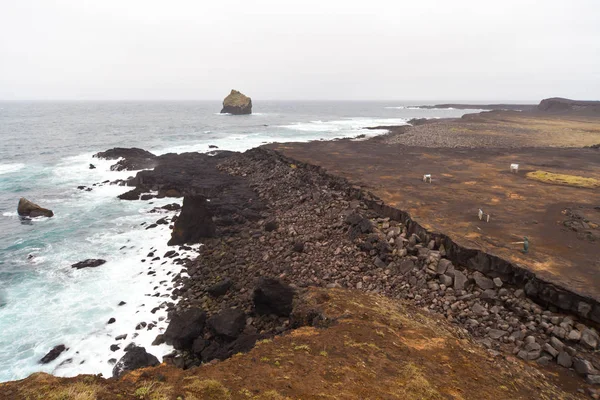 Izland Reykjanes Félsziget Sziklás Vulkáni Kén Kövek Shore Part Line — Stock Fotó