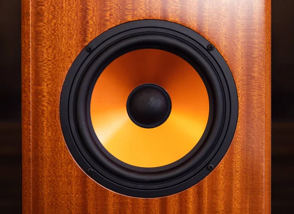Moderne audio Subwoofer speaker vooraan — Stockfoto