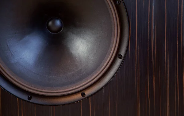 Grote single driver open baffle speaker membraan in houten cabine — Stockfoto