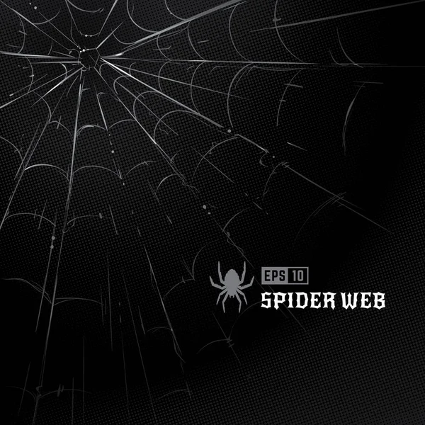 Vector Tela Araña Sobre Fondo Negro Semitono Tela Araña Dibujada — Vector de stock