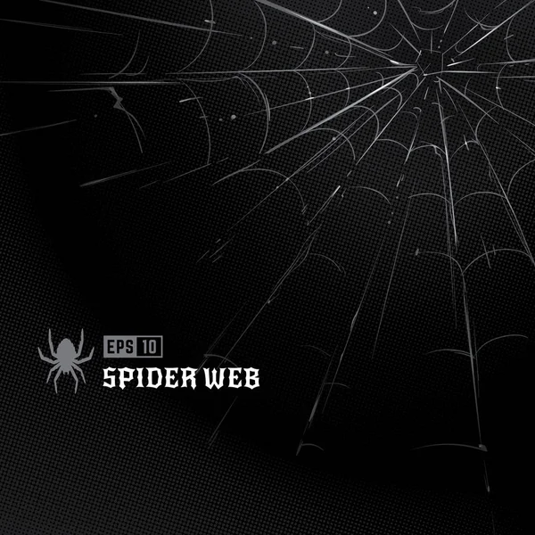 Vektor Spinnennetz Auf Schwarzem Halbtonhintergrund Handgezeichnetes Spinnennetz Vektorkunst — Stockvektor