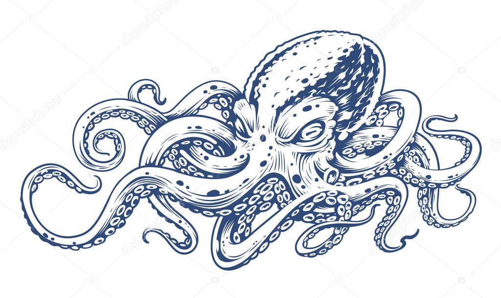 Octopus Vintage Vector Art isolated on white. Engraving style vector illustration of octopus. 