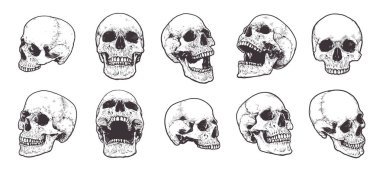 Anatomik kafatasları vektör Set